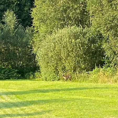 Far Away From Africa * Steinach (Thuringia)